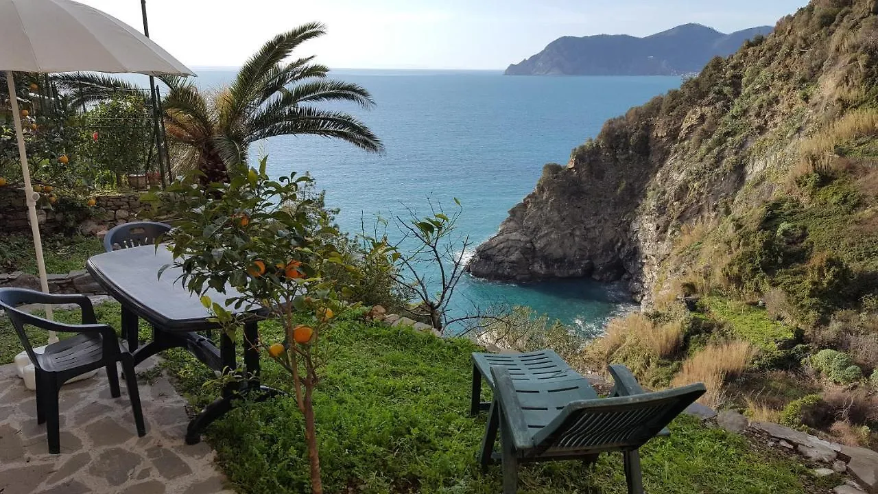 Appartamento On The Way To The Marina Corniglia