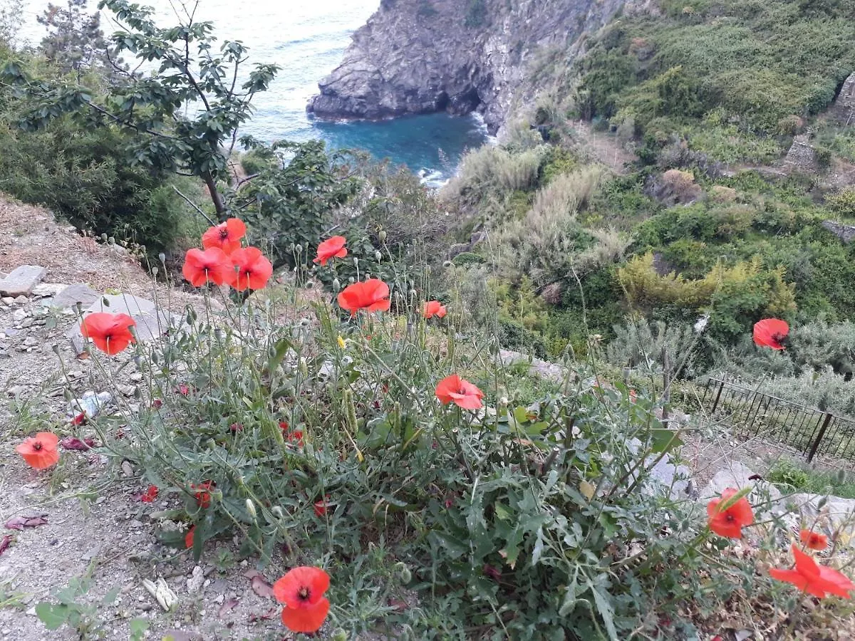 Appartamento On The Way To The Marina Corniglia