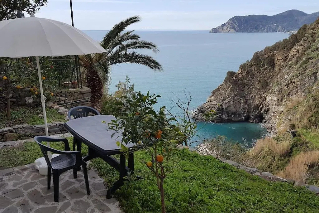 Appartamento On The Way To The Marina Corniglia