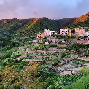 Pensionat Arbanella, Corniglia
