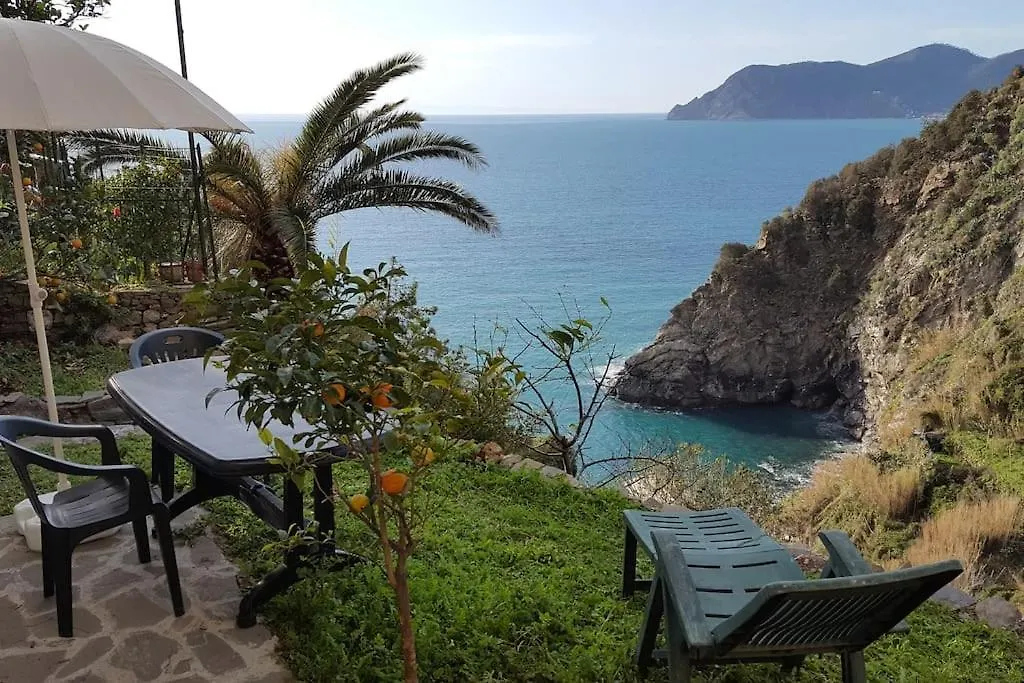 On The Way To The Marina Apartment Corniglia