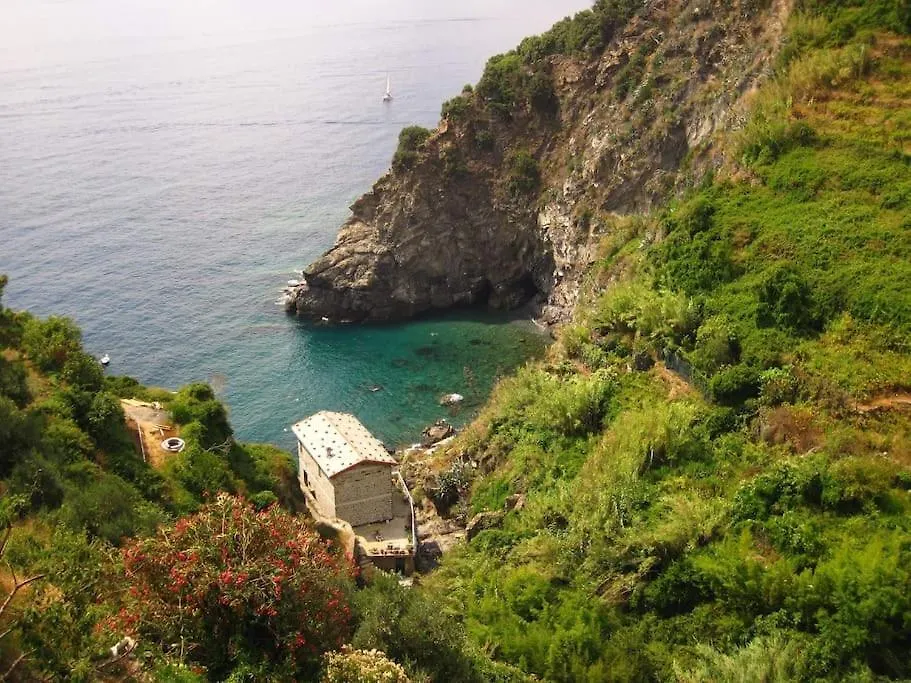On The Way To The Marina Apartment Corniglia 0*,  Italy